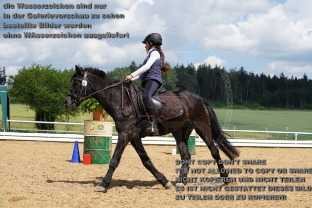 s_K3F05960.JPG